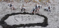 dierhagen-2020